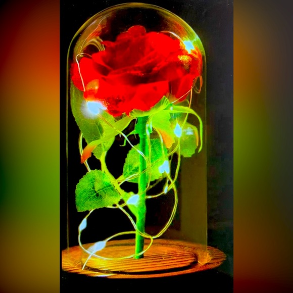 dream of flowers Other - Rose In Glass Dome LED Night Light